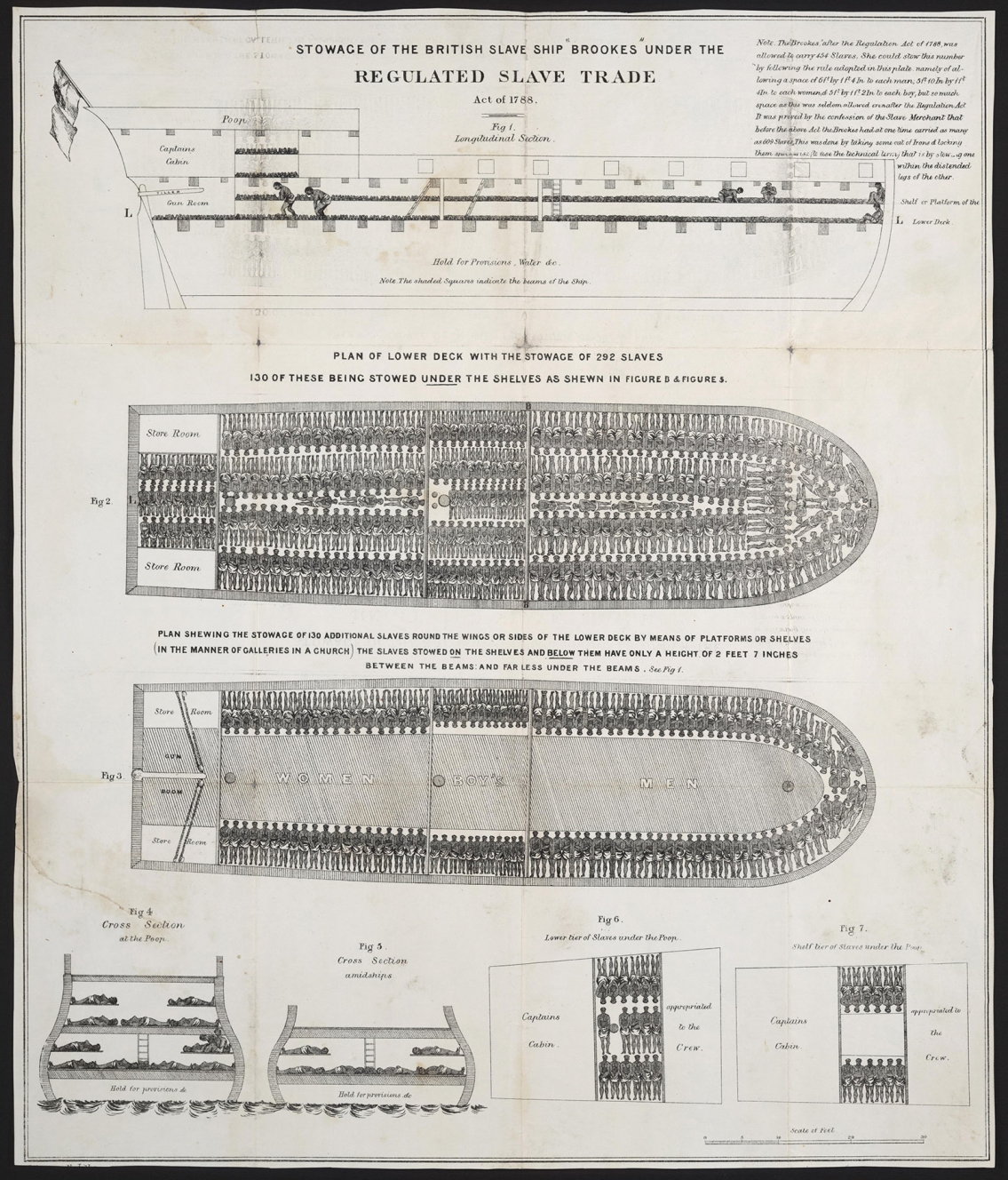 Regulated Slave Trade - Stowage of the British Slave Ship, 1788