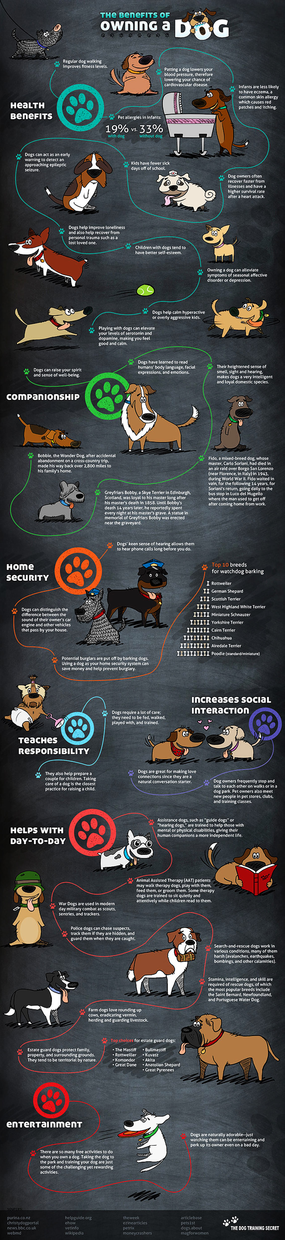 38 Reasons for Owning a Dog - Pet infographic