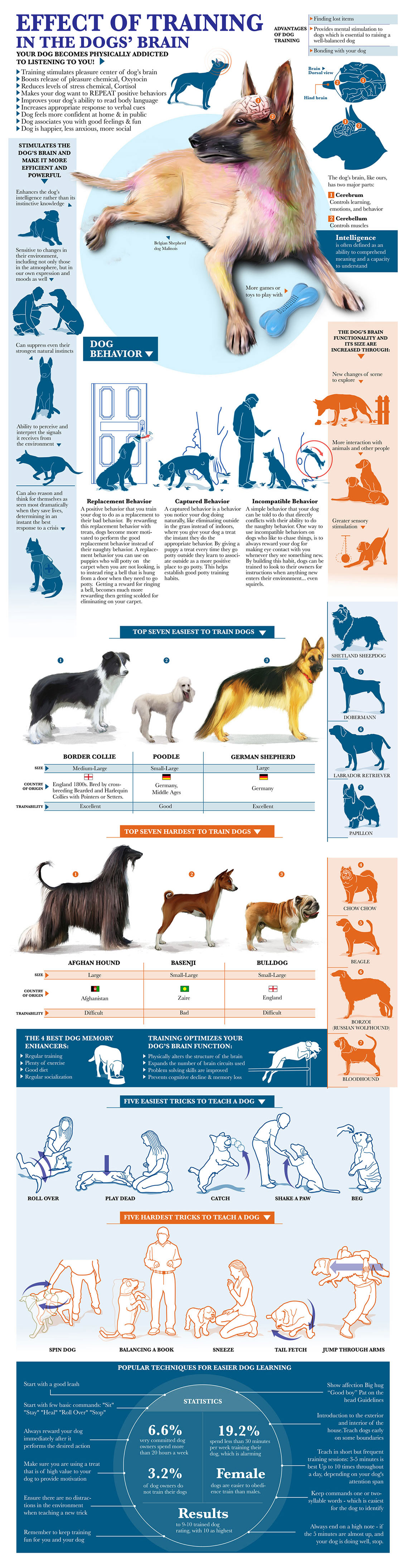 Benefits of Obedience Training for Dogs Infographic