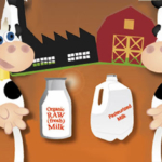 Organic Raw VS Pasteurized Milk
