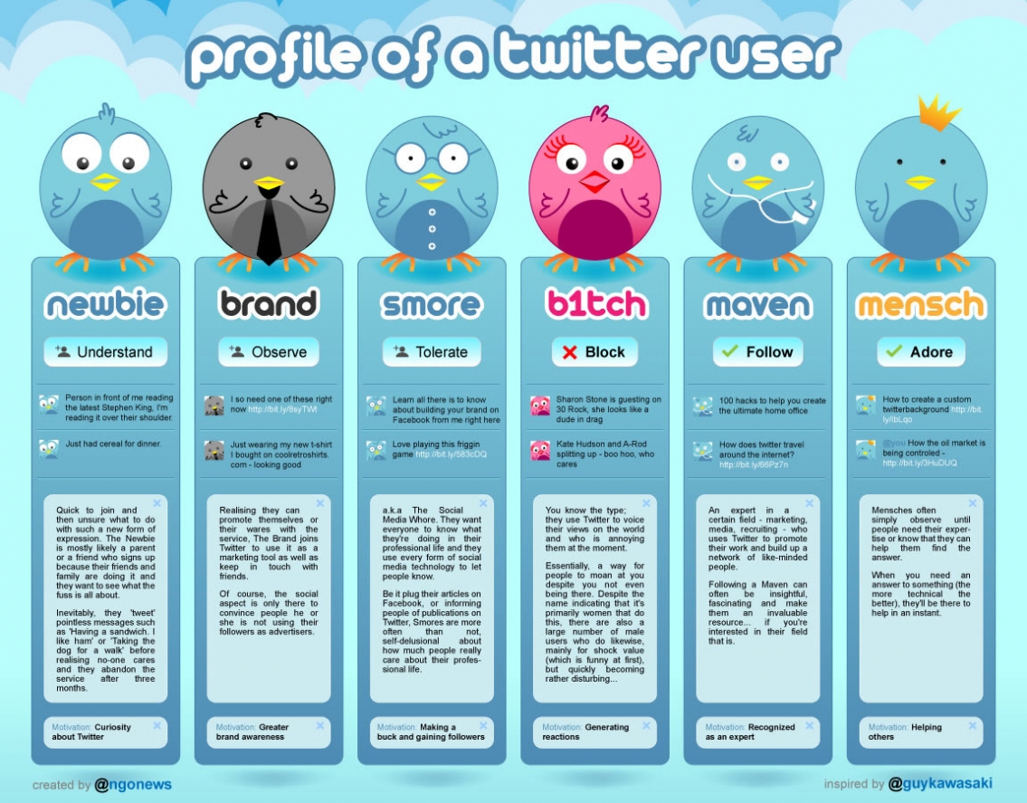 Profile of a Twitter User - Infographic