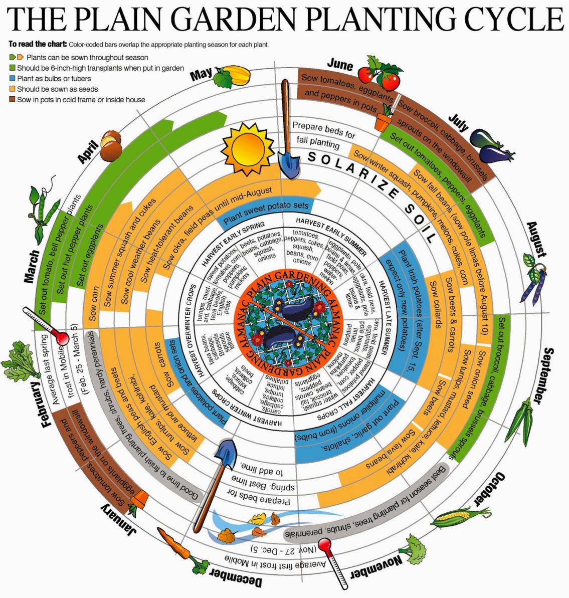 The Plain Garden Planting Cycle Infographic