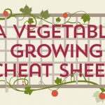 The Vegetable Growing Cheat Sheet