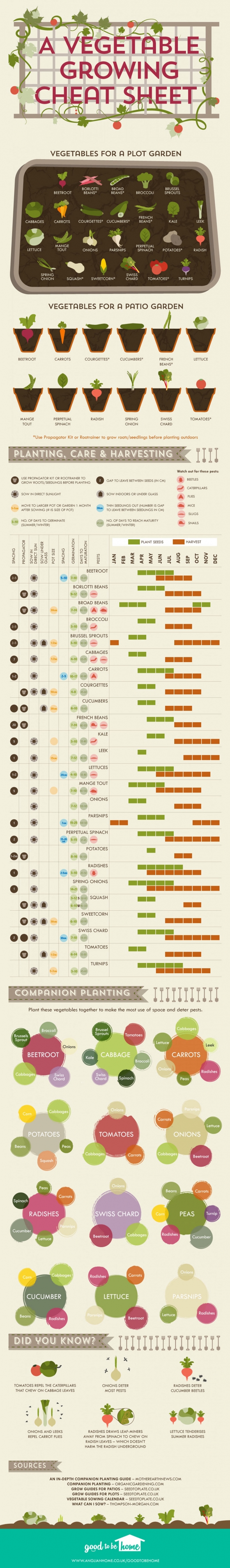 The Vegetable Growing Cheat Sheet [Infographic]