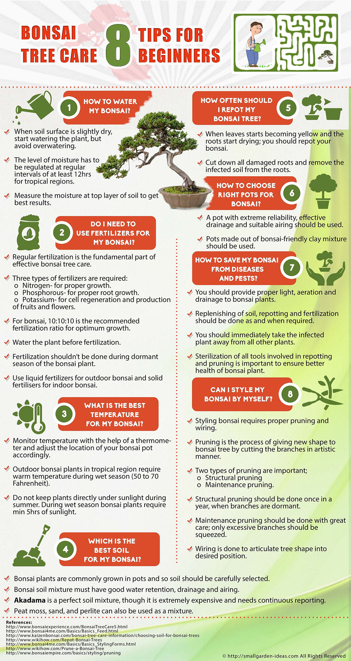 Bonsai Tree Care Tips for Beginners Infographic