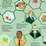 Breaking Bad: By the Numbers