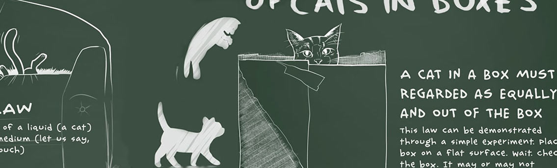 Cat Physics Science Infographic