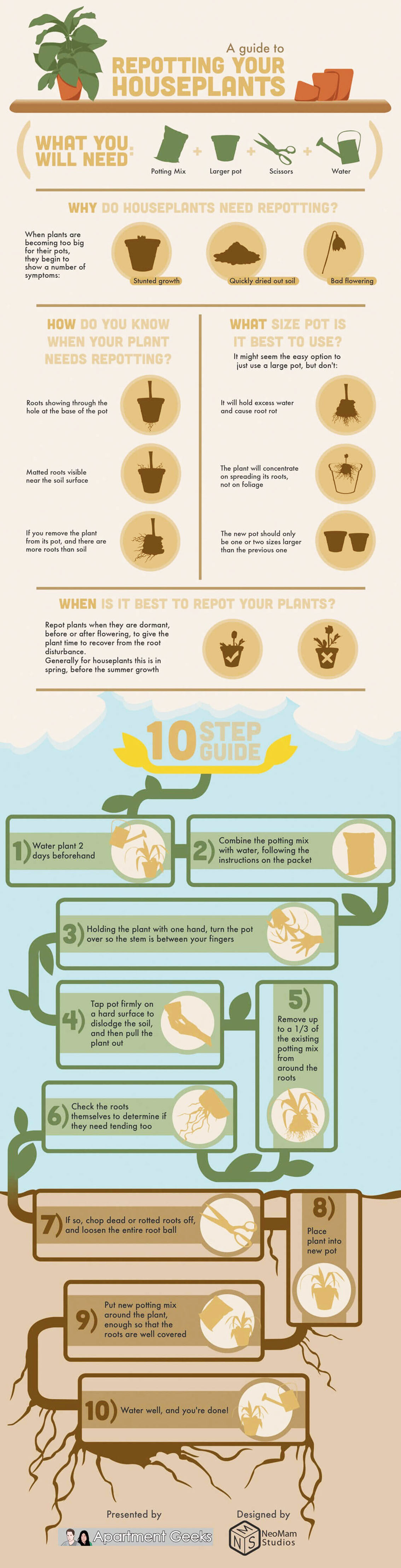 Guide to Repotting Indoor Plants Infographic