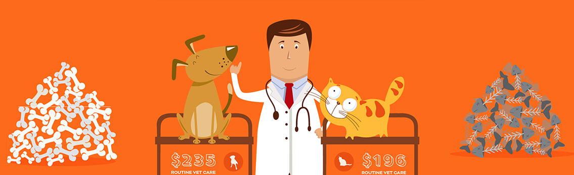 Pet Insurance Facts and Figures Infographics