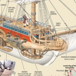 A Pirate’s Life During The Golden Age of Piracy