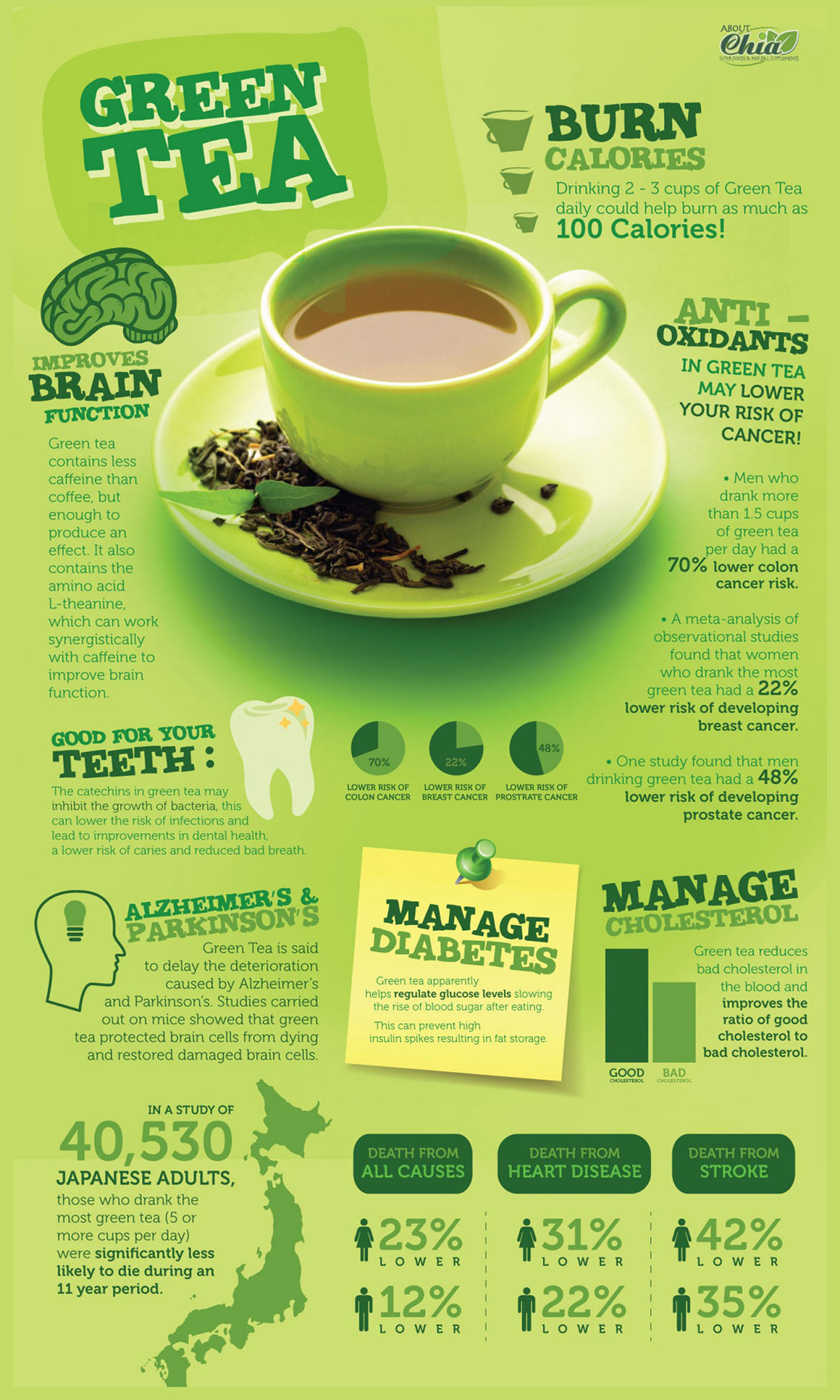 The Benefits of Green Tea Infographic