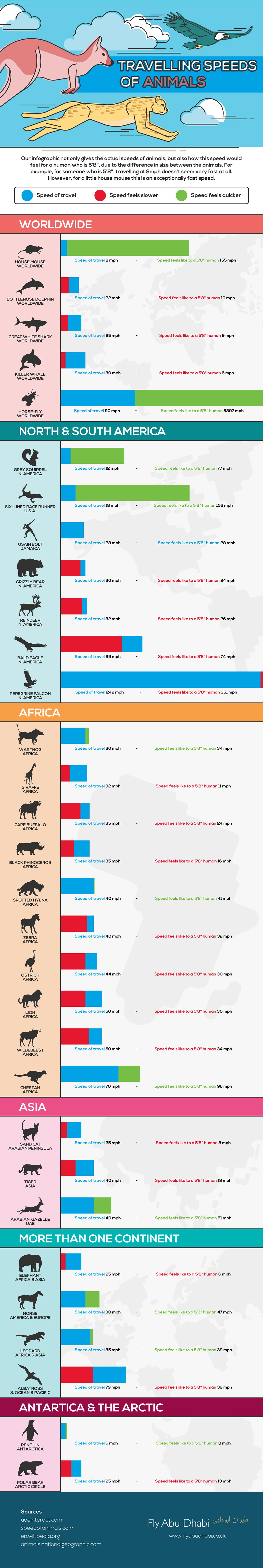 Travelling Speeds of Animals Infographic