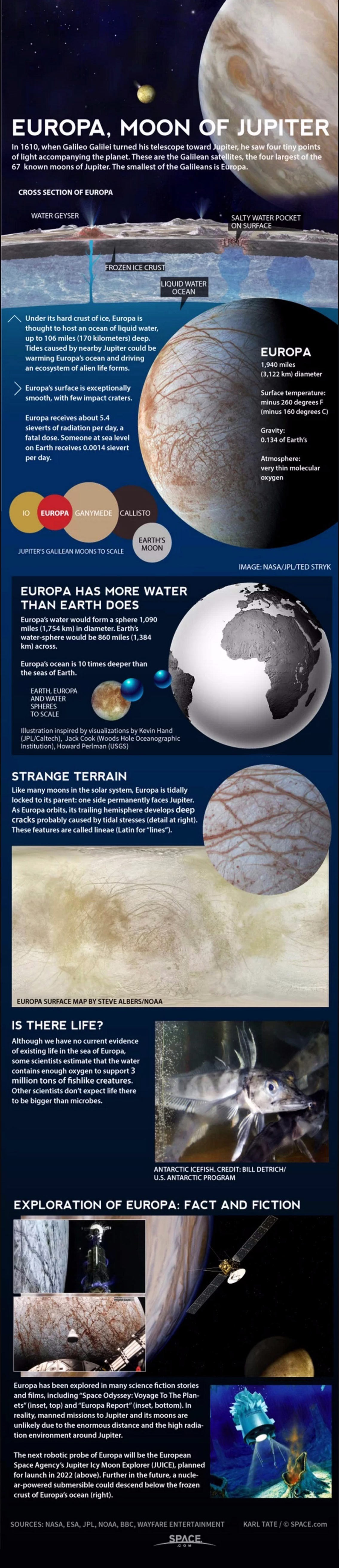 The Potential of Alien Life within Jupiter's Moon Europa - Astronomy Infographic