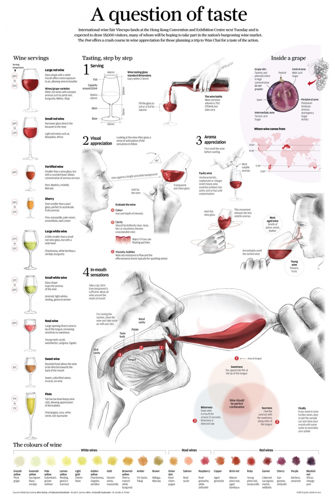 The Connoisseur Way to Tasting Wine Infographic