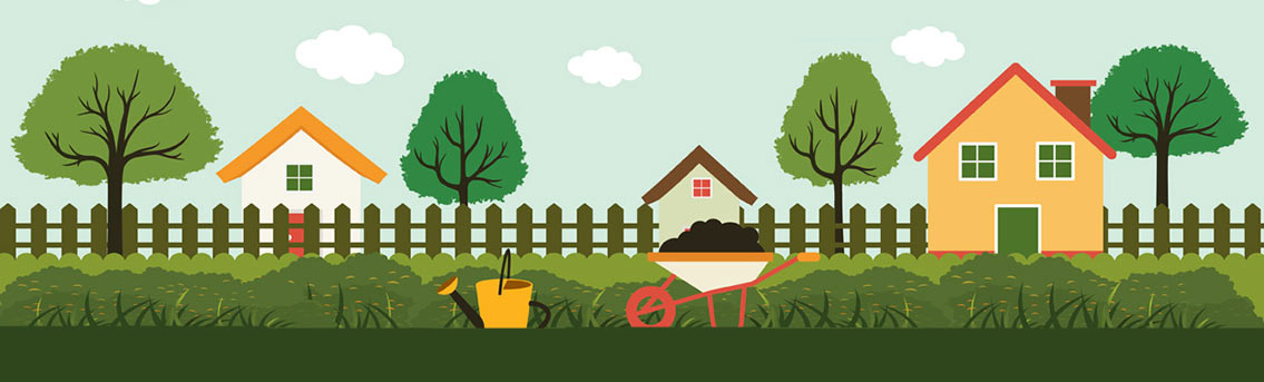 Garden Fertilizer Guide
