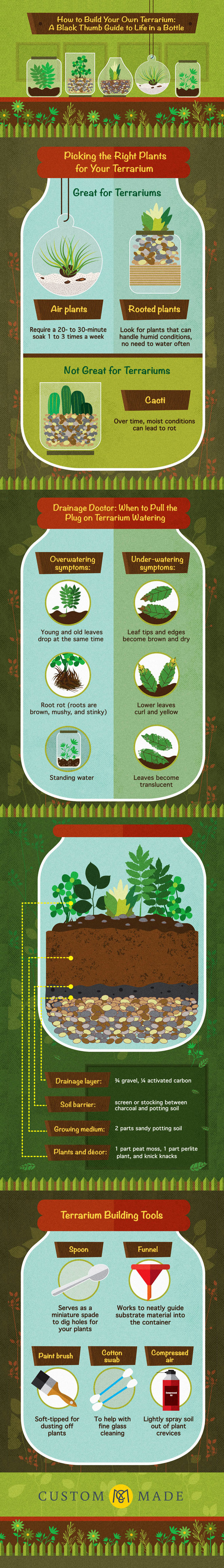 How to Make a Plant Terrarium - Gardening Infographic