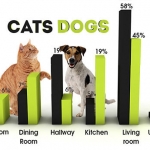 Cats or Dogs: Who Does the Most Damage to Your Home