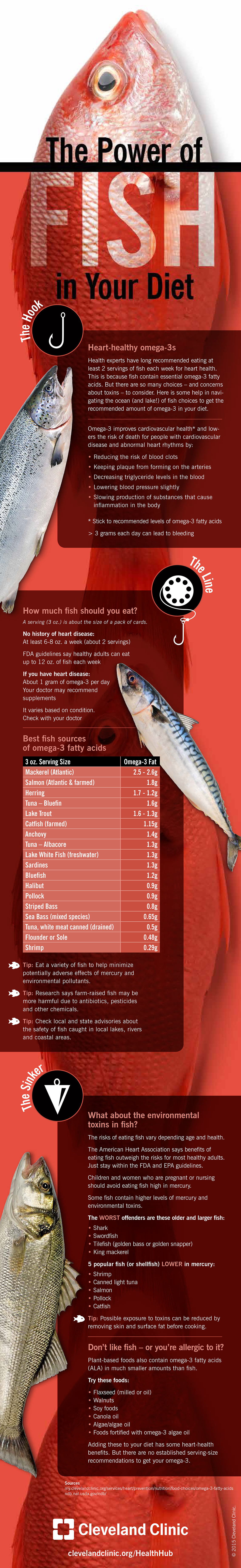 Power of Fish in Your Diet - Health Nutrition Infographic