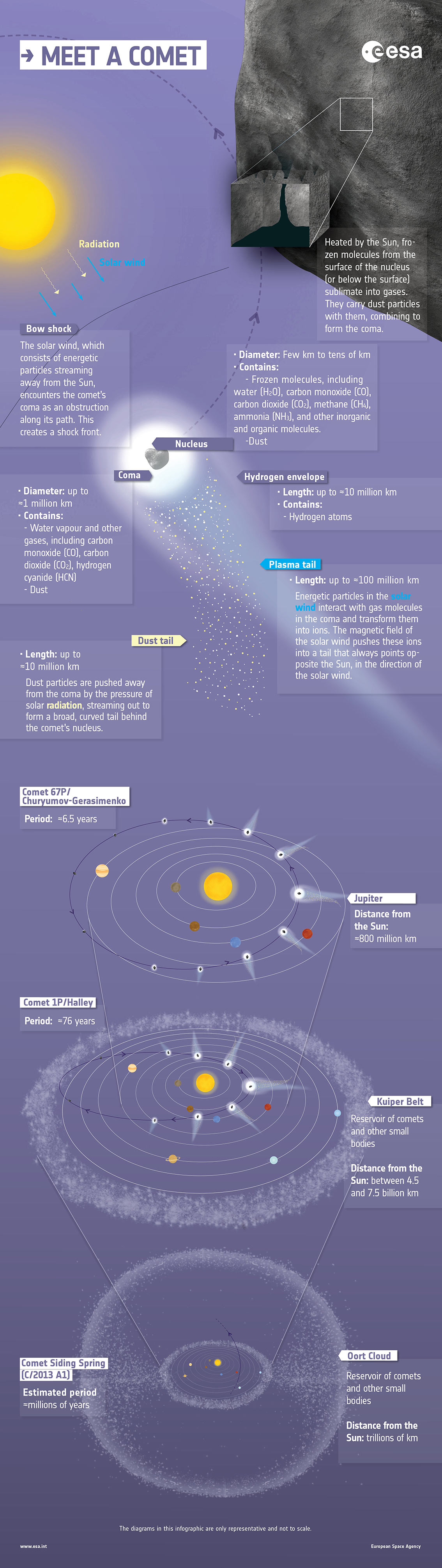 Anatomy of a Comet Infographic