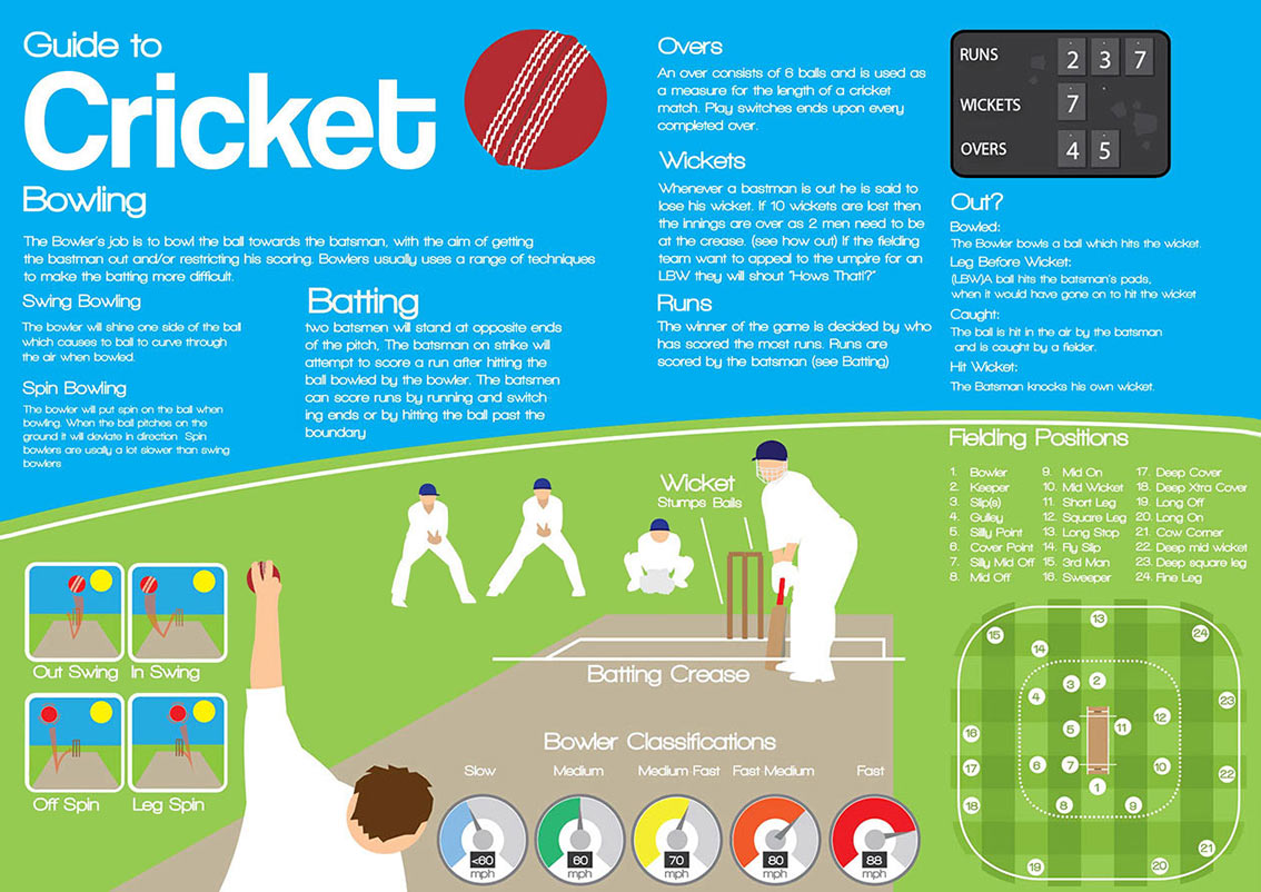 Learn to Play Cricket - Sports Infographic