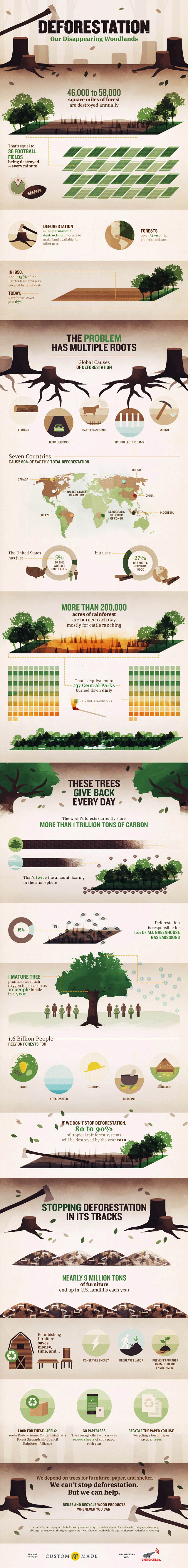 Negative Impacts of Deforestation Environmental Infographic