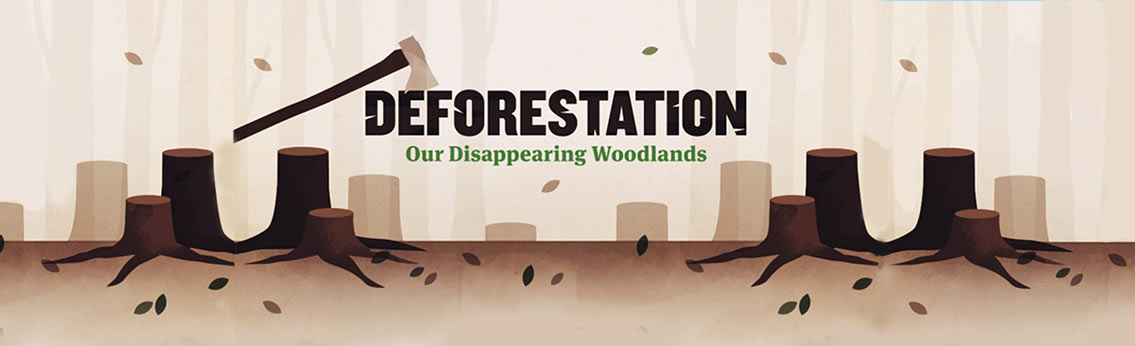 Negative Impacts of Deforestation