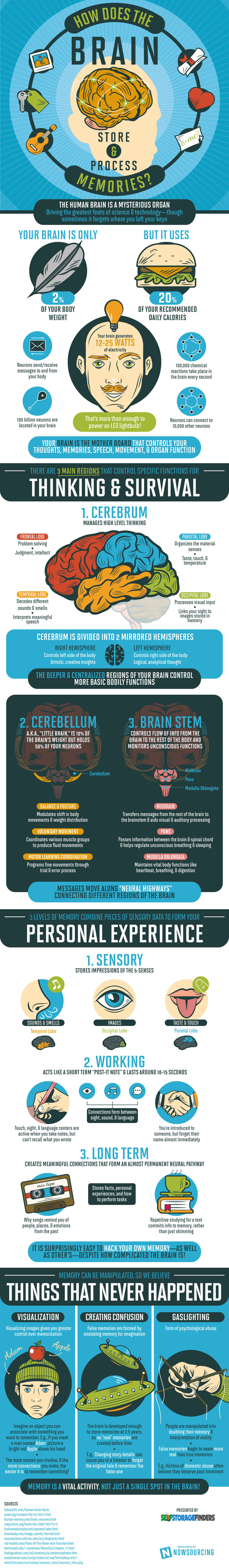 How the Human Brain Store Memories Infographic