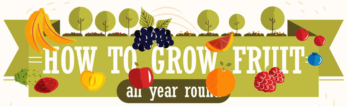 Grow Fruits in Your Garden All Year Round