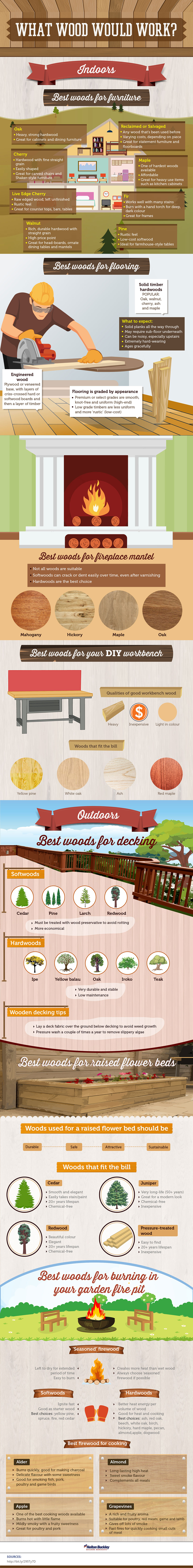 Which Wood is Best for Furniture, Flooring, Outdoors Infographic
