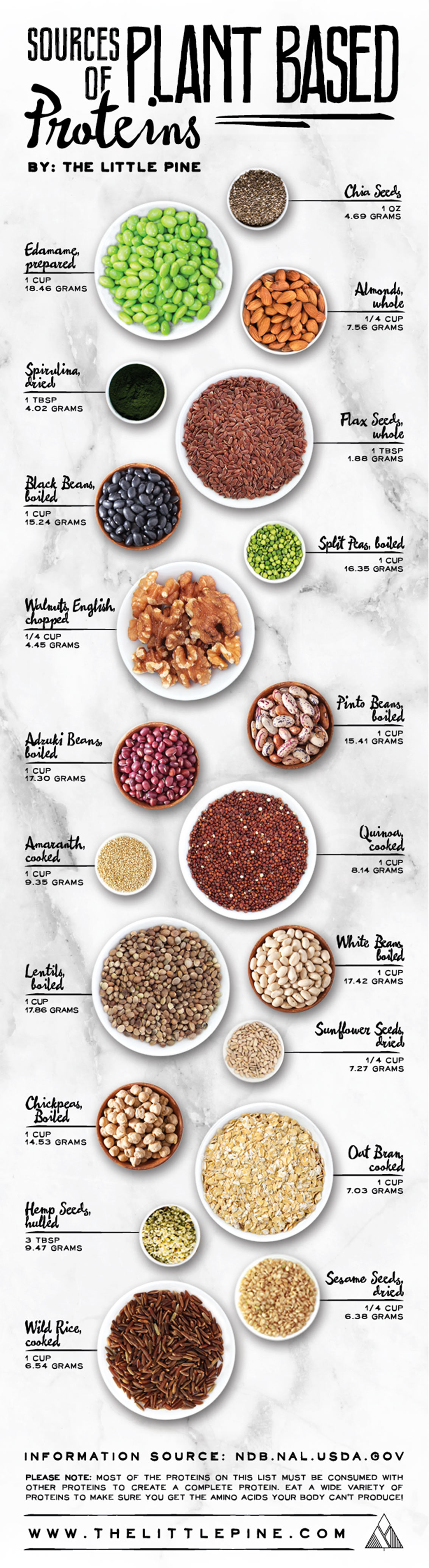 Best Sources of Plant Based Protein - Vegan Infographic