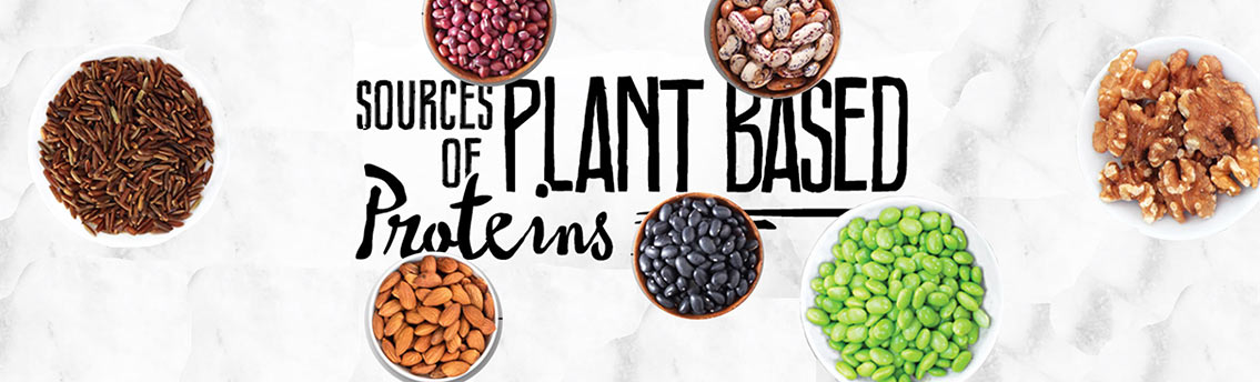 Best Sources of Plant Based Protein
